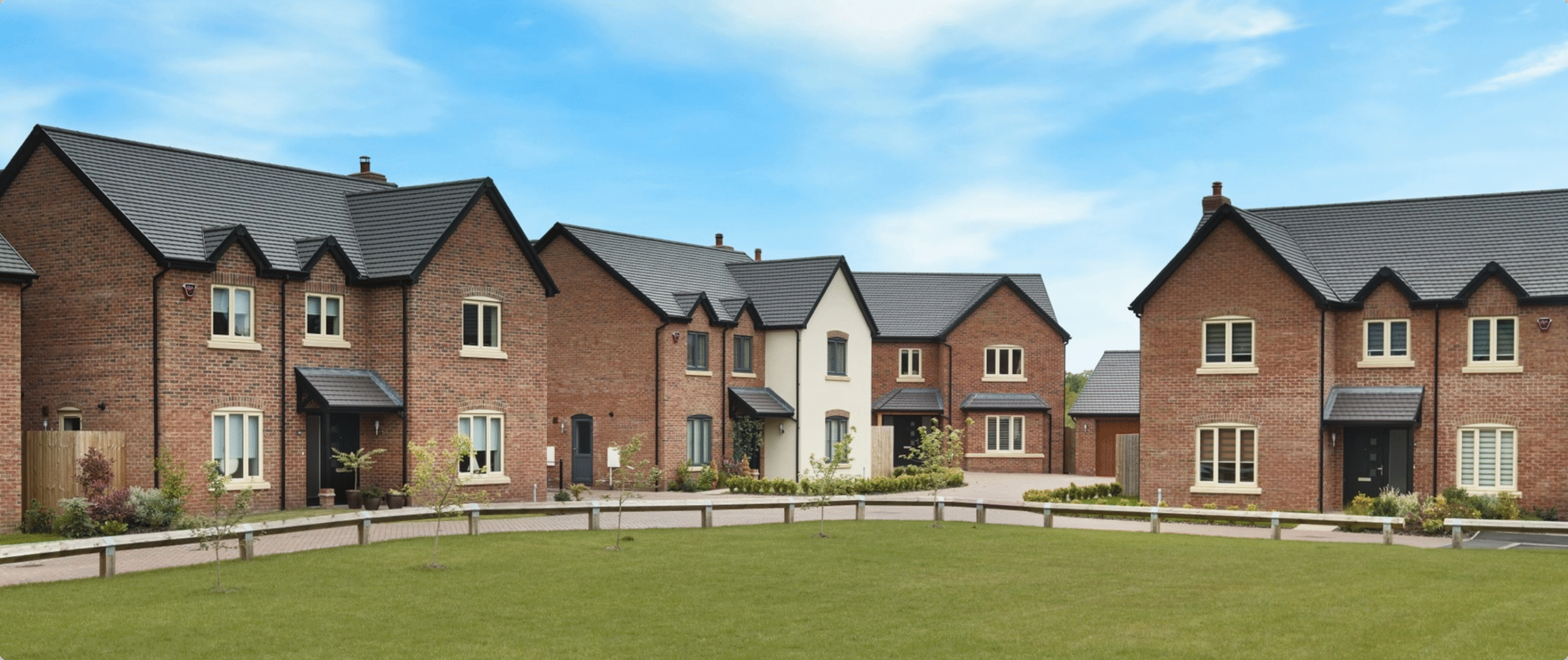 BLUE Shingler Hanwwod